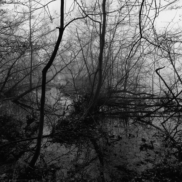 Crossing the Water