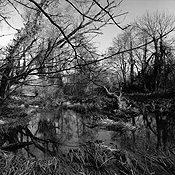 Crossing the Water